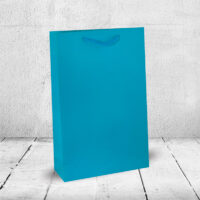 06. Plastificirana A3 maxi kesa